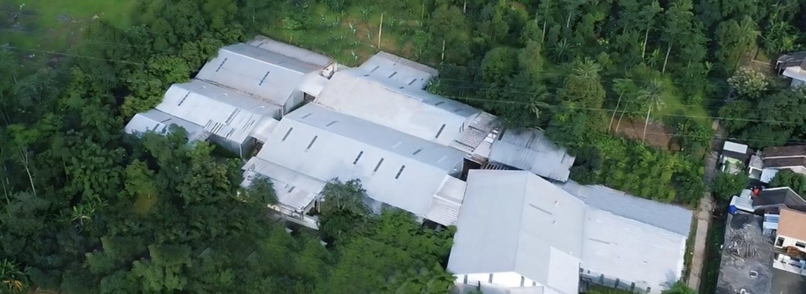 Aerial view of a furniture factory set among trees